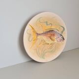 Decorative plate signed Vallauris handmade decor / fish / painting / 1950 / French riviera / Mid-Century / 20th century