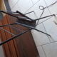 Vintage floor lamp