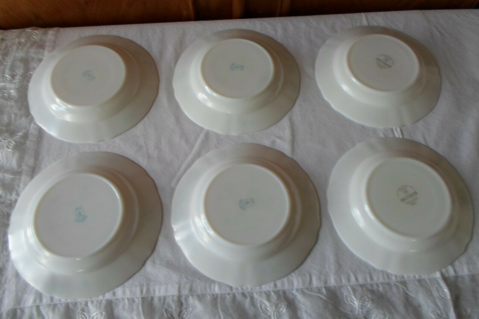 6 plates Veronica hollow blue flowers myosotis arcopal