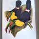 Vintage illustration. Keel-billed Toucan by J. Gould – 33x49cm. Bird print