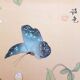 Ancient Chinese painting - Butterfly and flowers