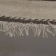 Rug /89x277 cm