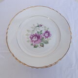 Lot 11 flat plates moulin des loups
