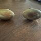 Antique brass door handles
