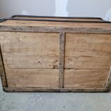 Old trunk