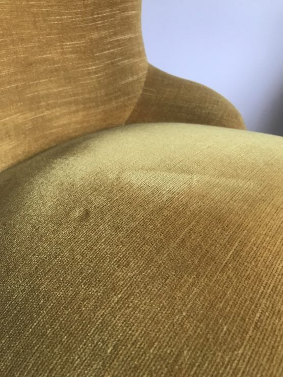 Yellow velvet toad heater