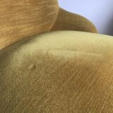 Yellow velvet toad heater