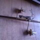 60's teak wall light from Maison Lunel