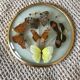 Vintage butterfly frame