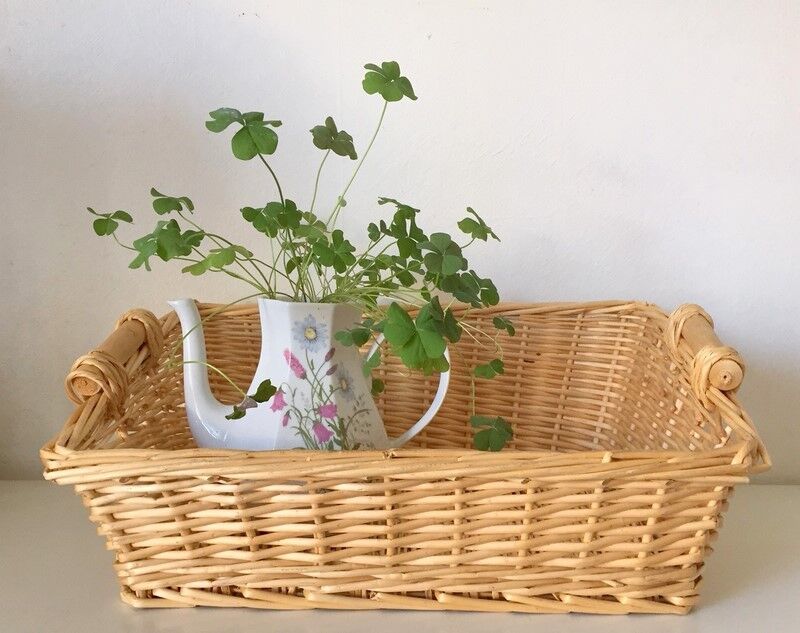 Woven wicker basket