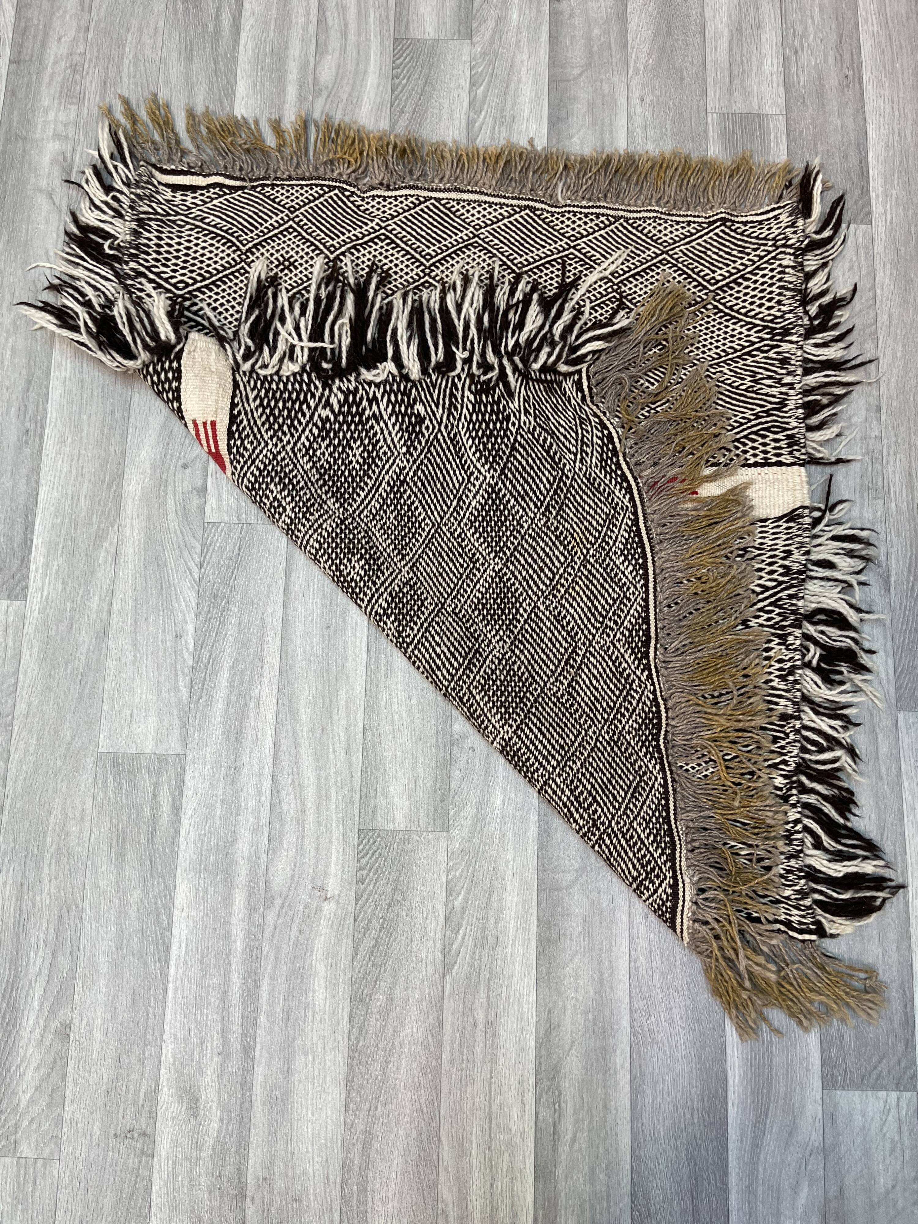Small and famous Berber Zanafi rug, Taznakht handwoven, wool rug