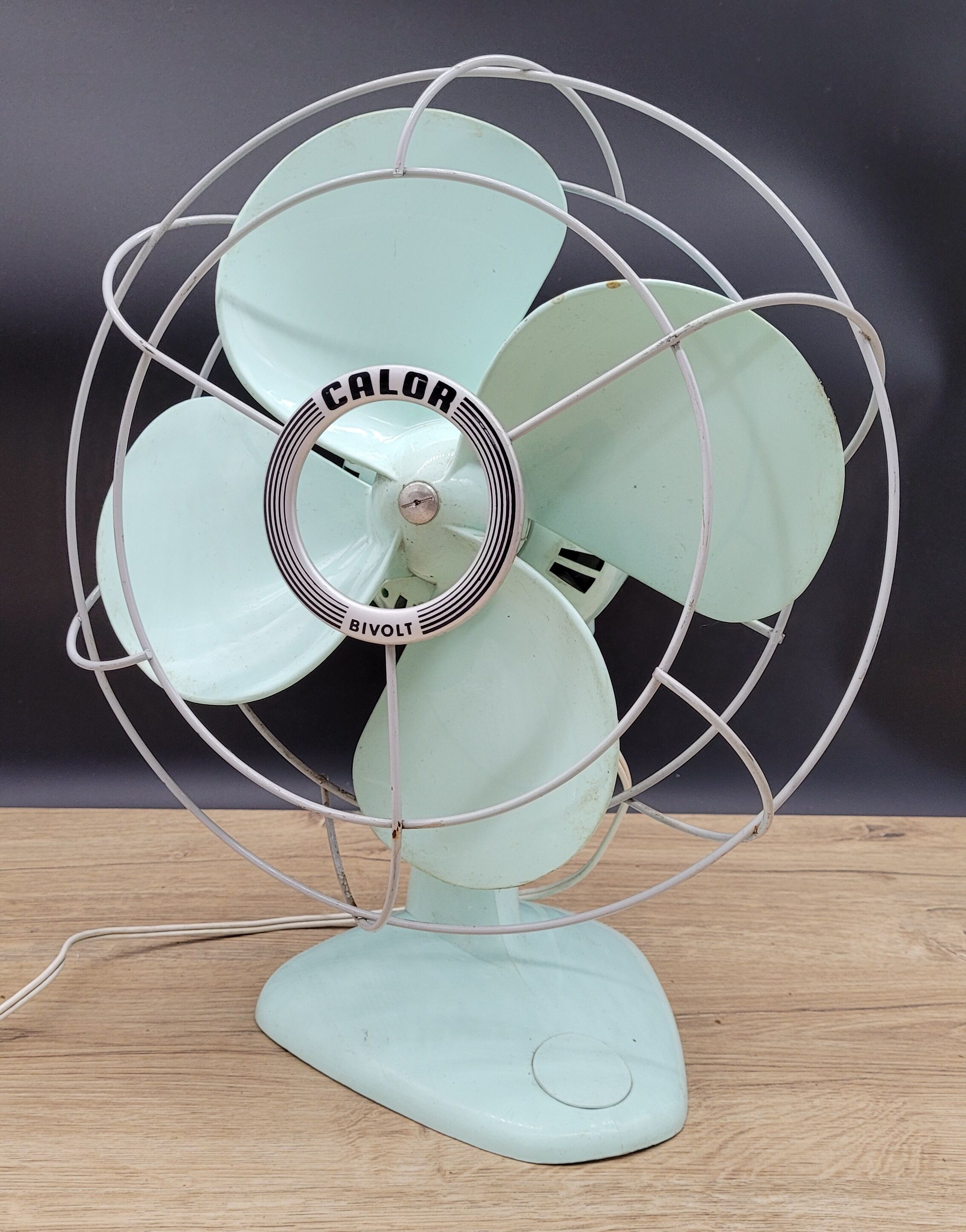 Calor 60s fan
