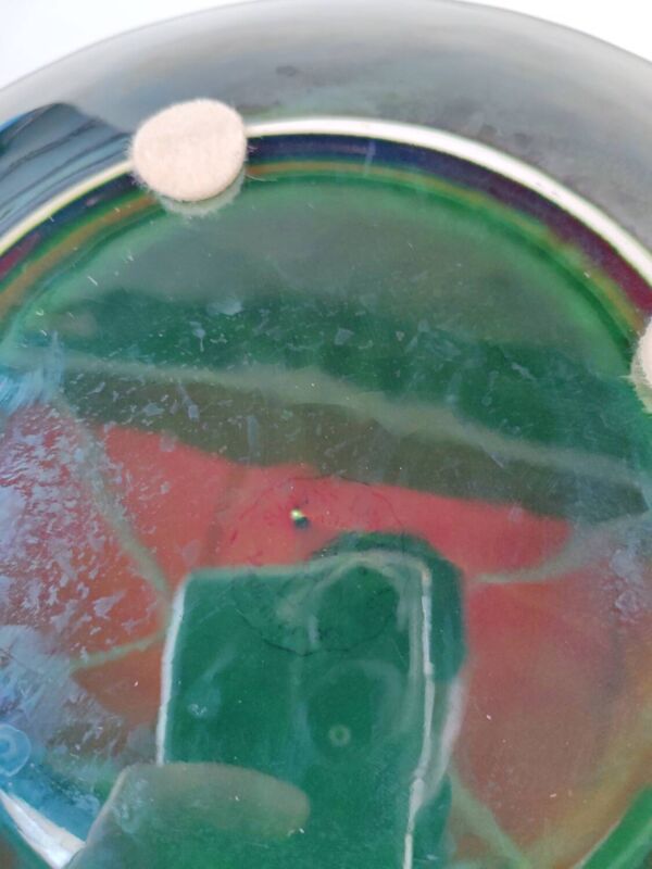 Grand plat en barbotine de salins les bains. Années 50