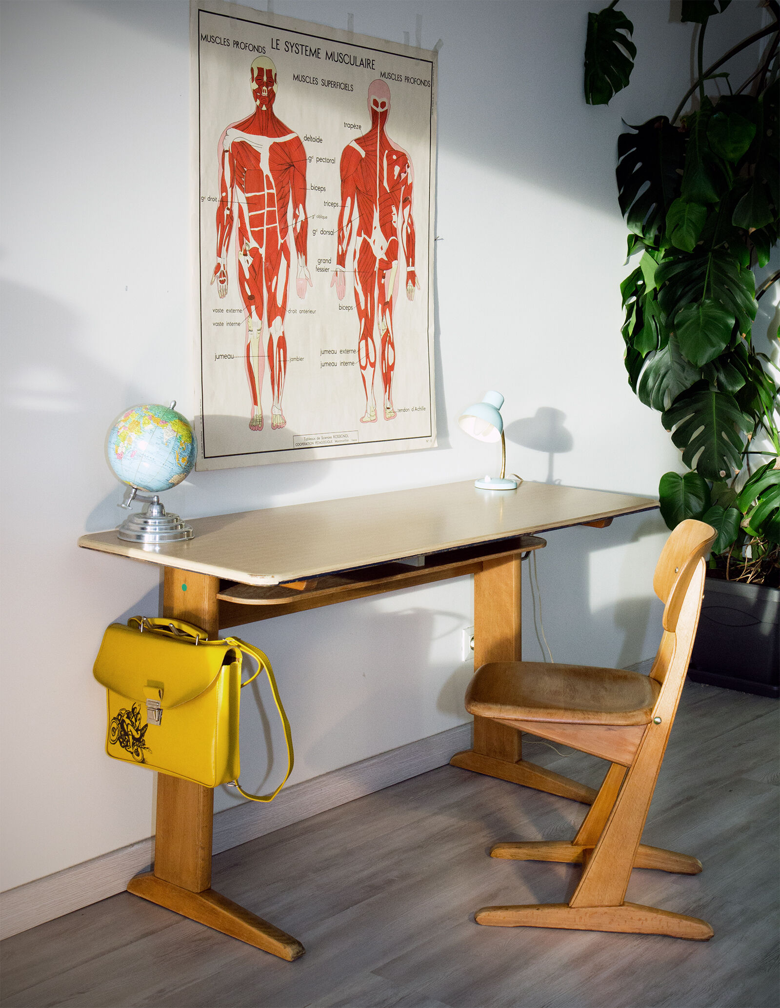 Office "Casala" and matching, design chair Karl Nothhelfer, edition VS, Germany, 60's