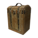 Ancient trunk