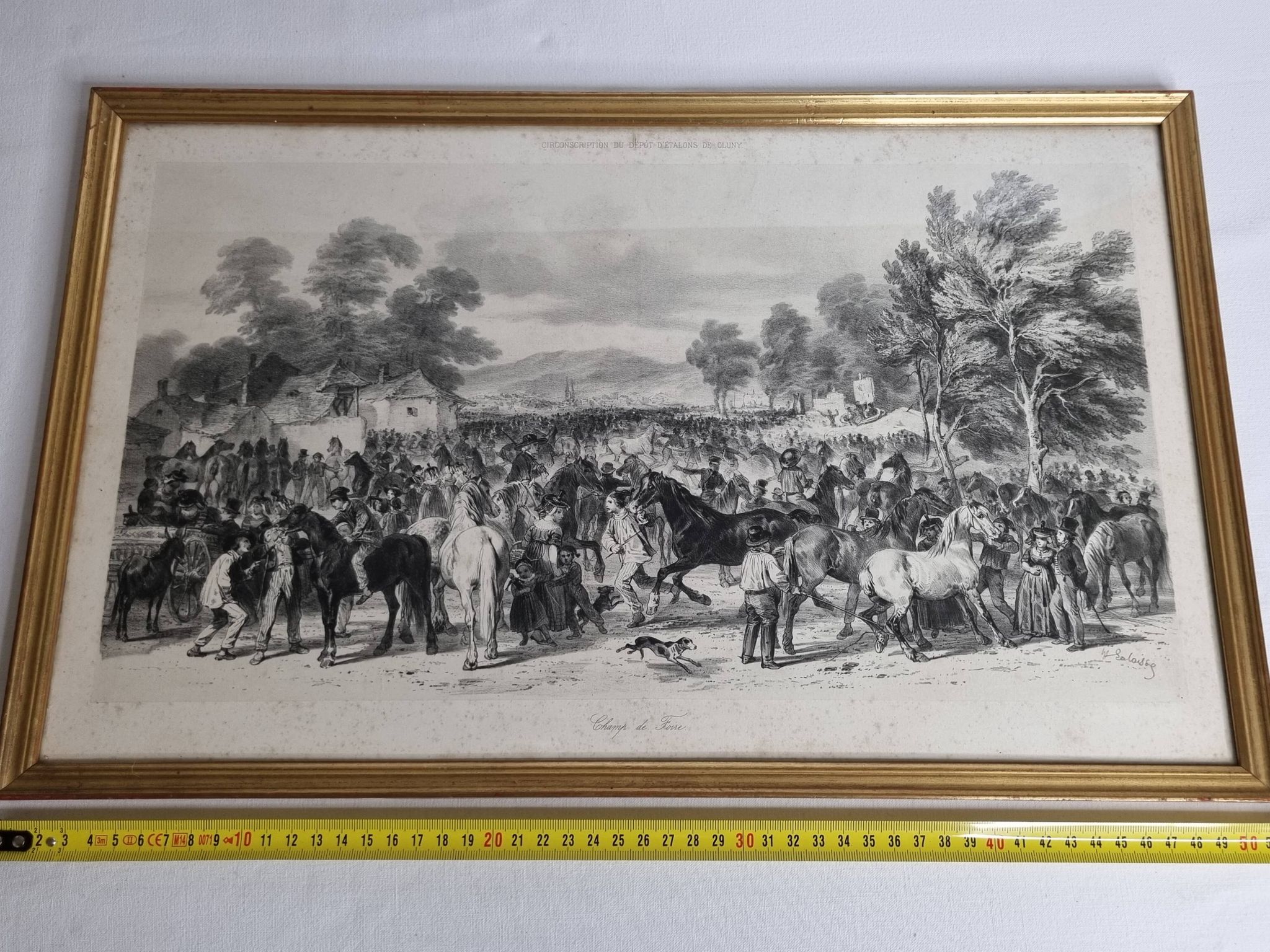 Original framed engraving of the nineteenth after Hippolyte Lalaisse, Cluny Stallion Fair