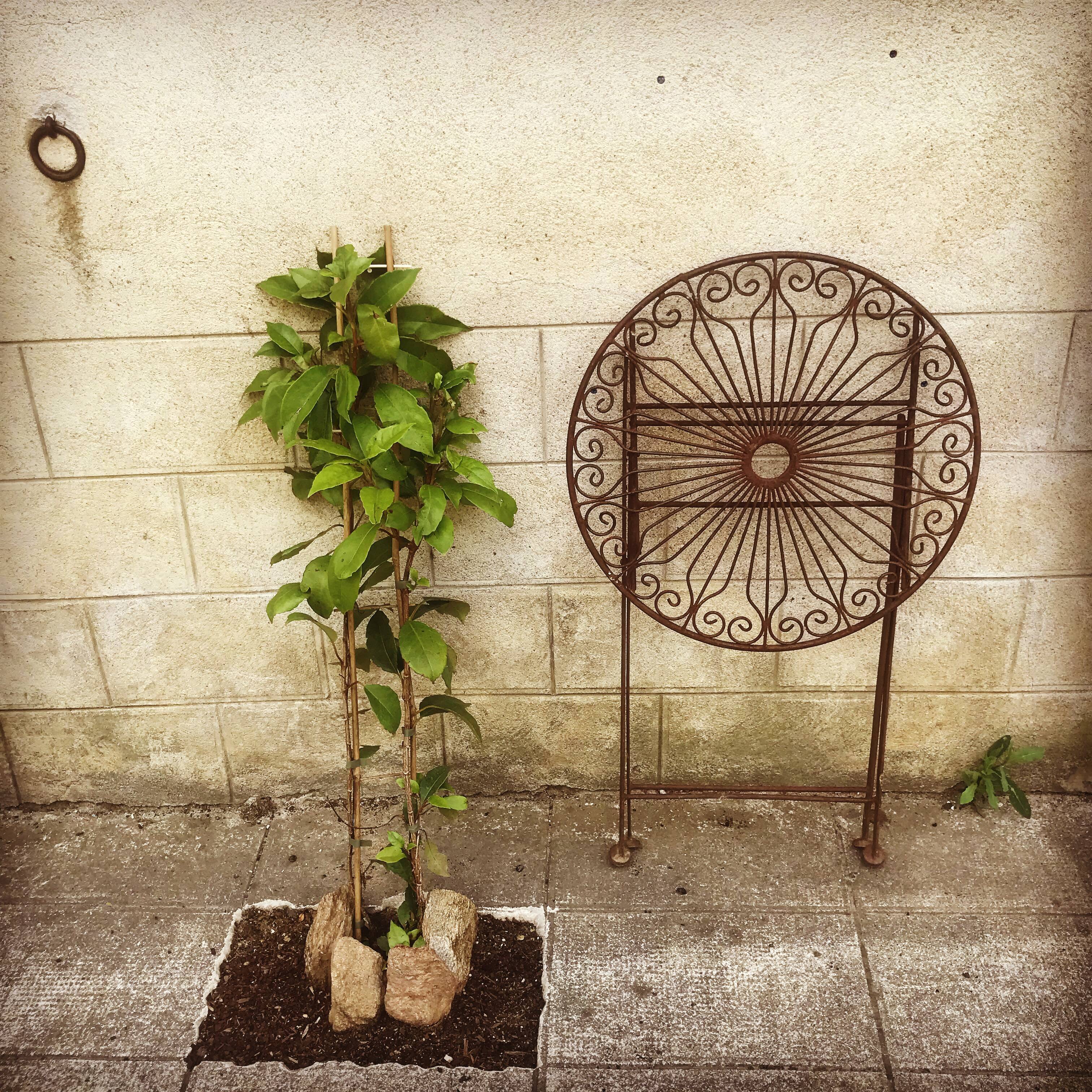 Ancient wrought iron pedestal table