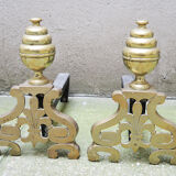 Brass chenets & fleur de lys cast iron