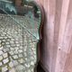 Louis XV sculpted bistro brasserie mirror 1960 200x100cm