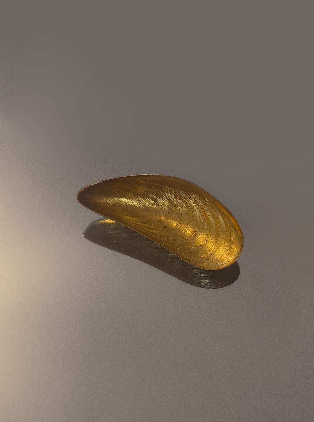 Small shell salt shaker