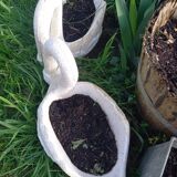 Swan-shaped garden vases in reconstituted stone