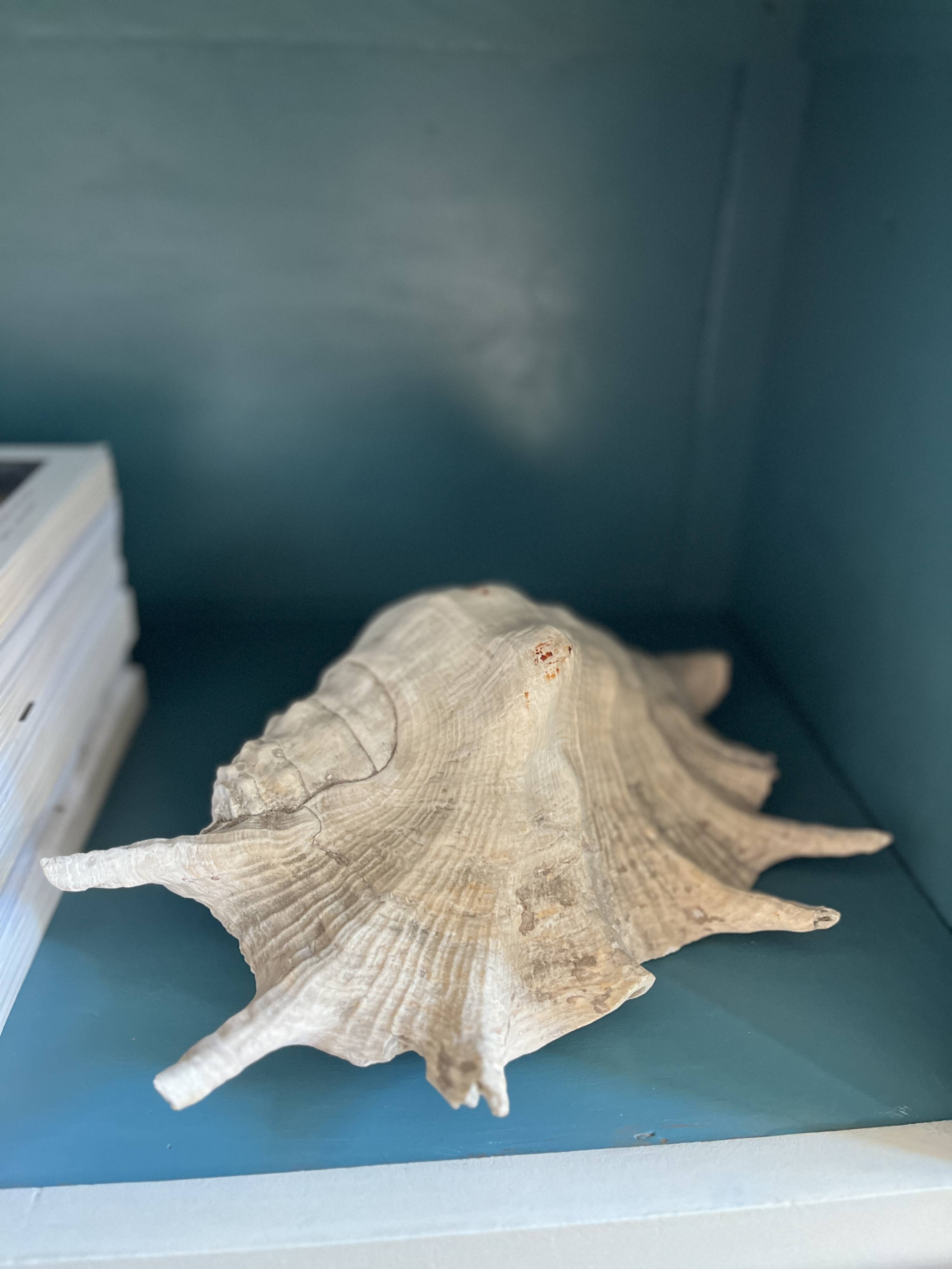 Small almond milk buffet