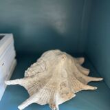 Small almond milk buffet