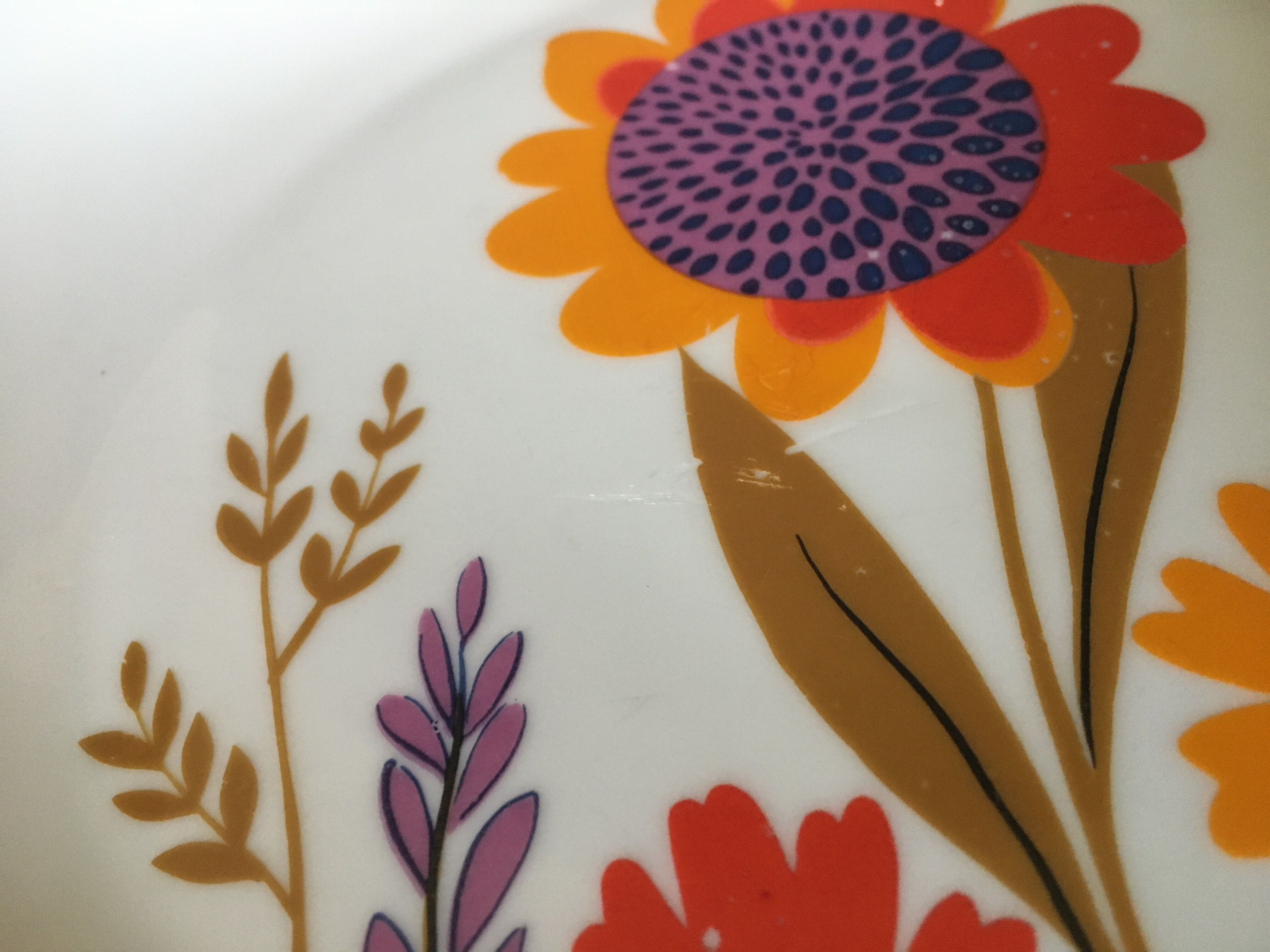 Sologne Porcelain Pop Flat Plates