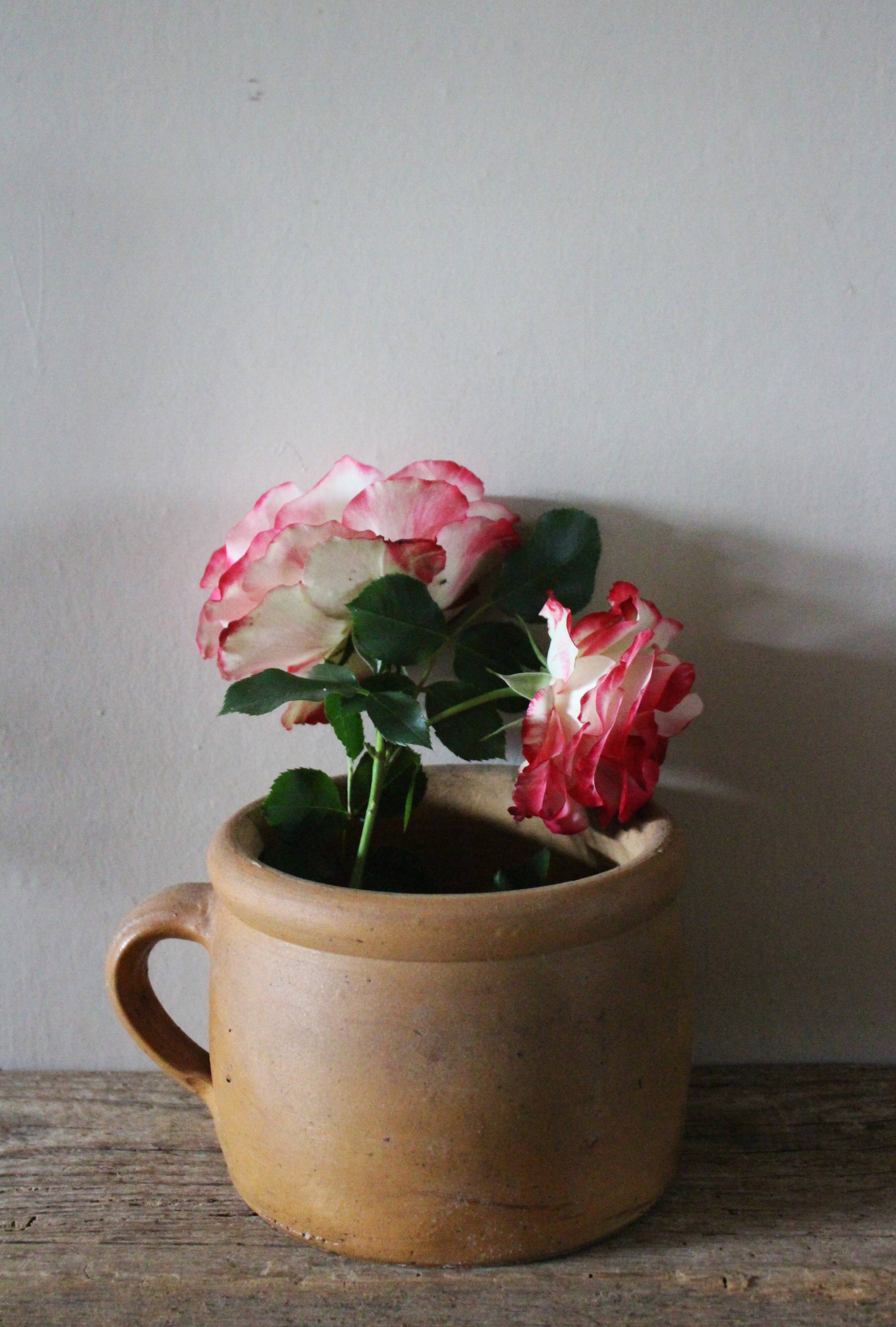 Round terracotta milk jug with handle