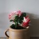 Round terracotta milk jug with handle