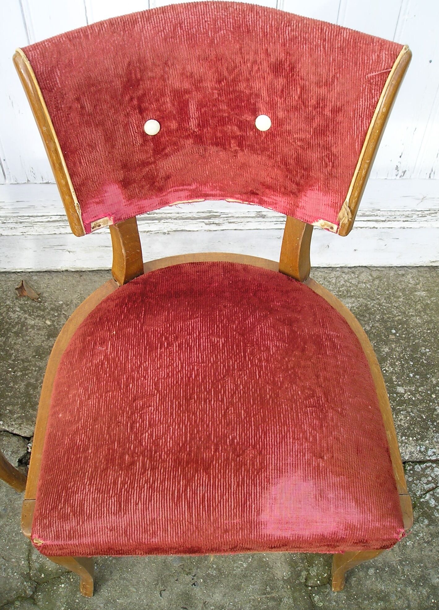 Paire de chaises en bois des années 50