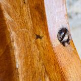 Baumann Model 92 Vintage Stool, 1950s