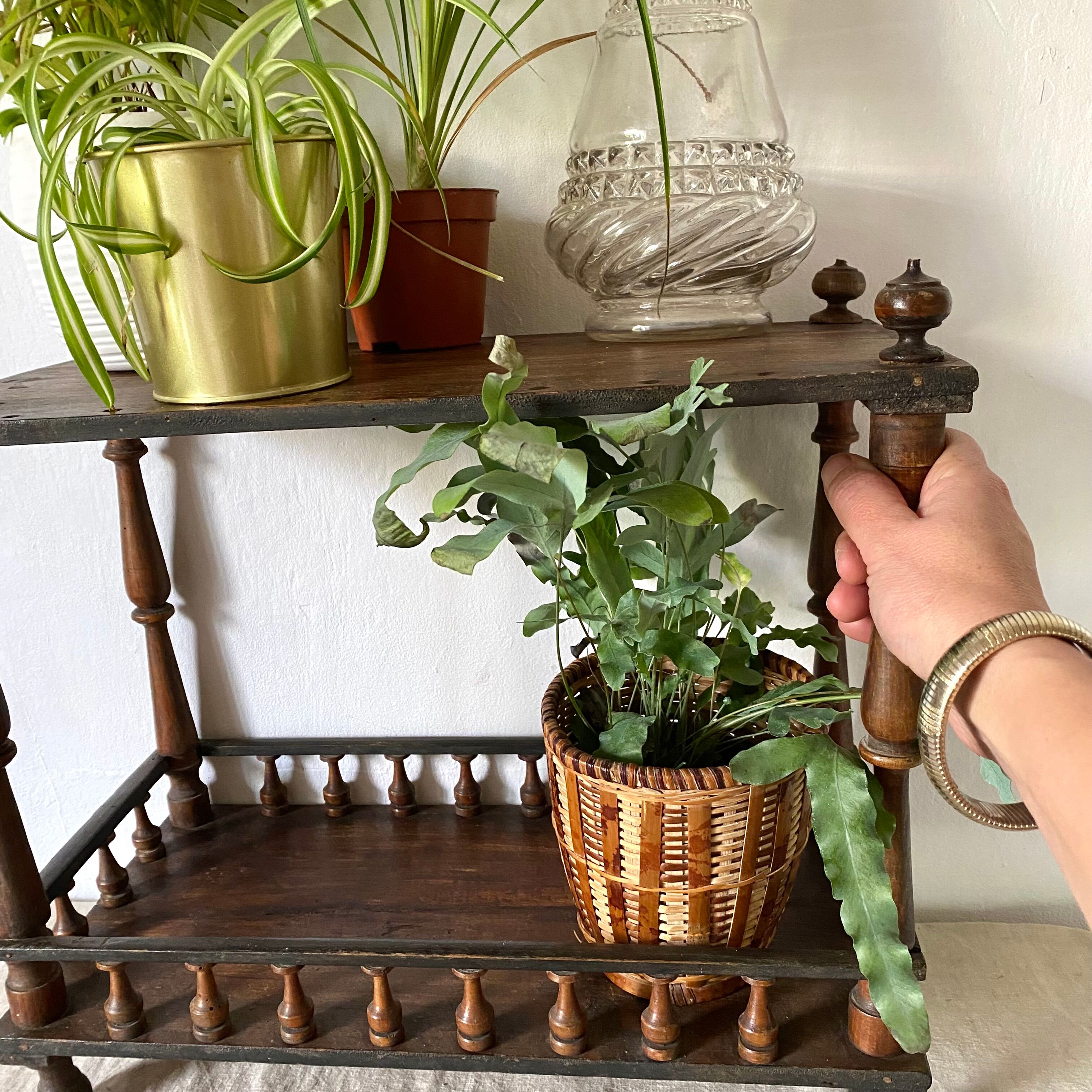 Porte plantes étagères en bois