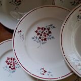 Set of 9 stencilled dinner plates