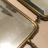 Diptych stung bevelled mirror