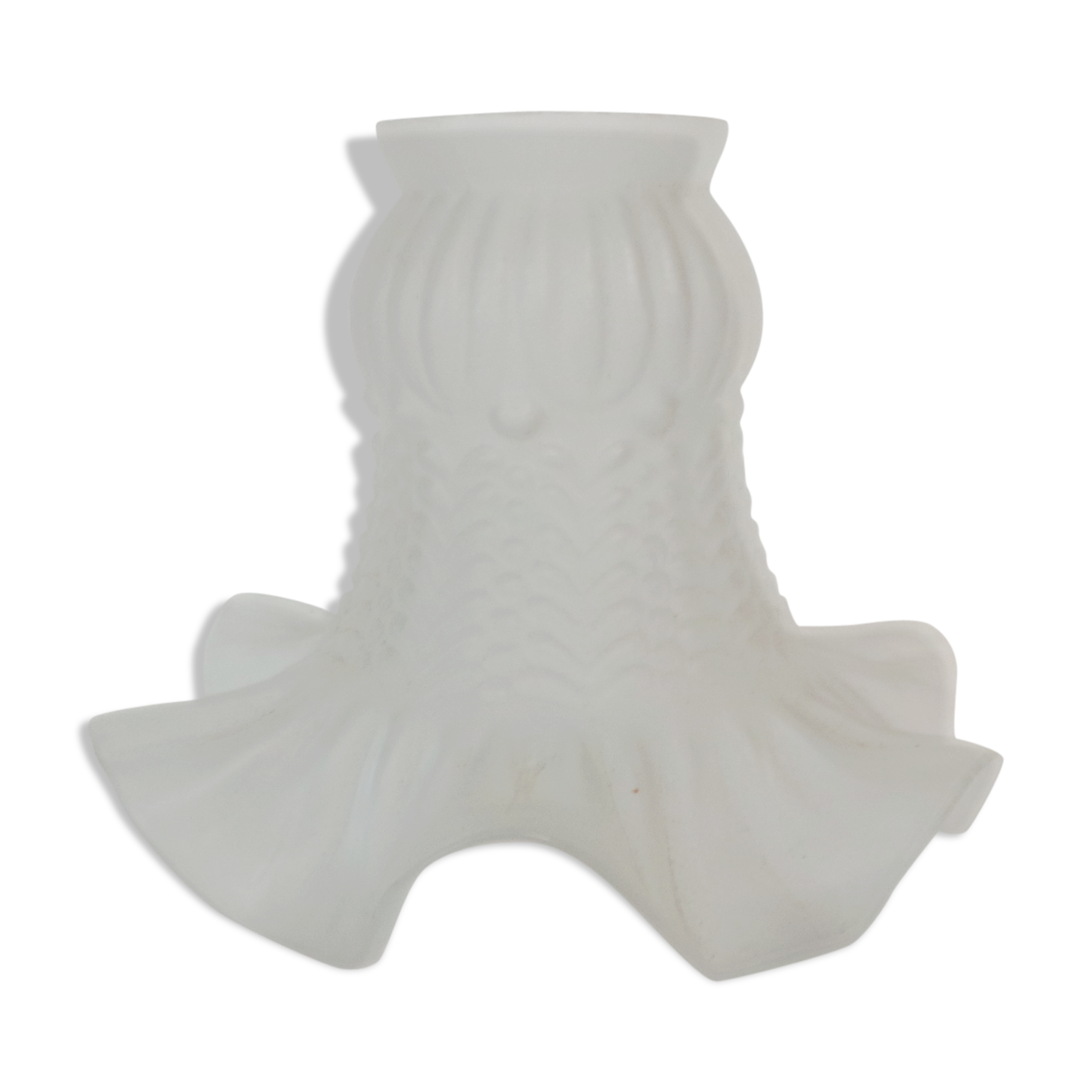 Tulip for suspension