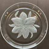 Pie dish