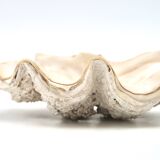 Holy water stoup shell emptier, 1970s