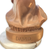 Bust David in plaster