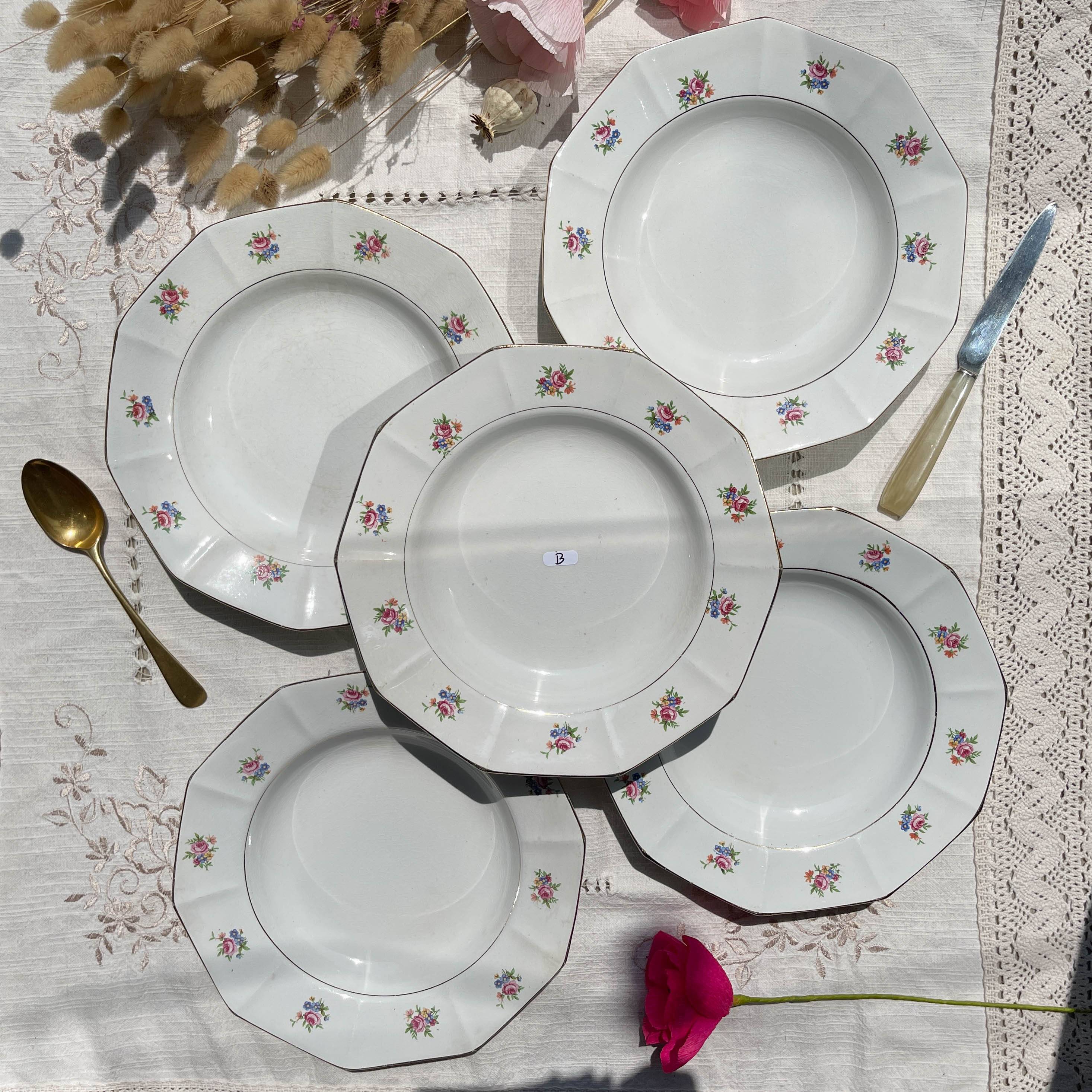 5 vintage hollow plates in opaque porcelain SALINS floral pattern
