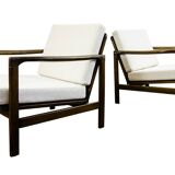Mid Century Modern Armchairs By Zenon Bączyk, 1960's, Set Of 2