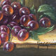 Thierry JACQUIOT (1962). Still Life. Oil on canvas.