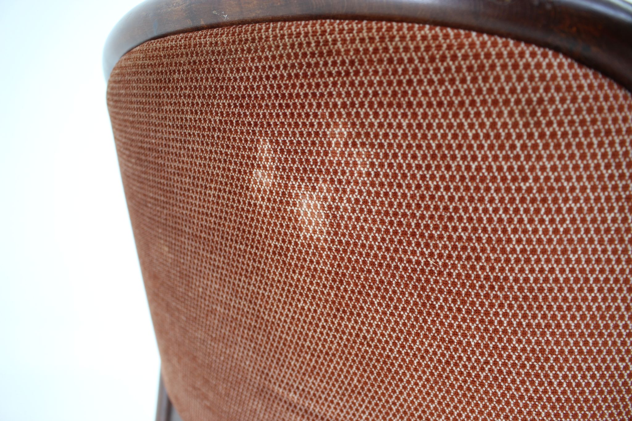 Fauteuil Bentwood des années 1970, Allemagne