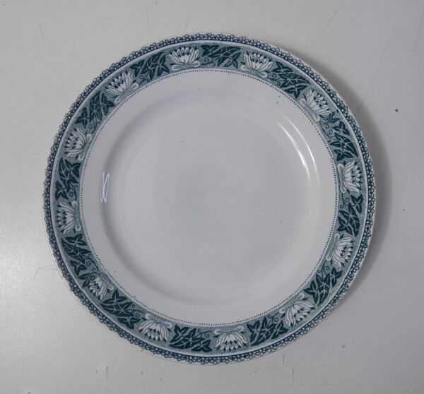 Terre de fer 6 assiettes plates lotus