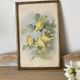 Framed zoological engraving of canary birds.