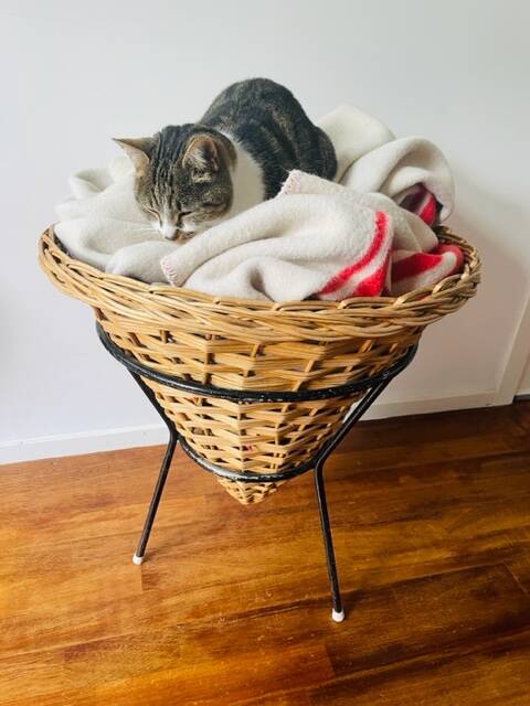 Vintage basket Rohe Noordwolde