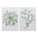 Lot of 2 vintage botanical illustrations from 1978 - including Stellaire - plant and herb plates
