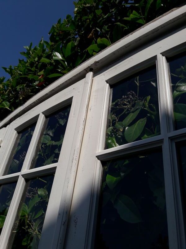 Door bay window arched oak frame H233,5xW234 small tiles