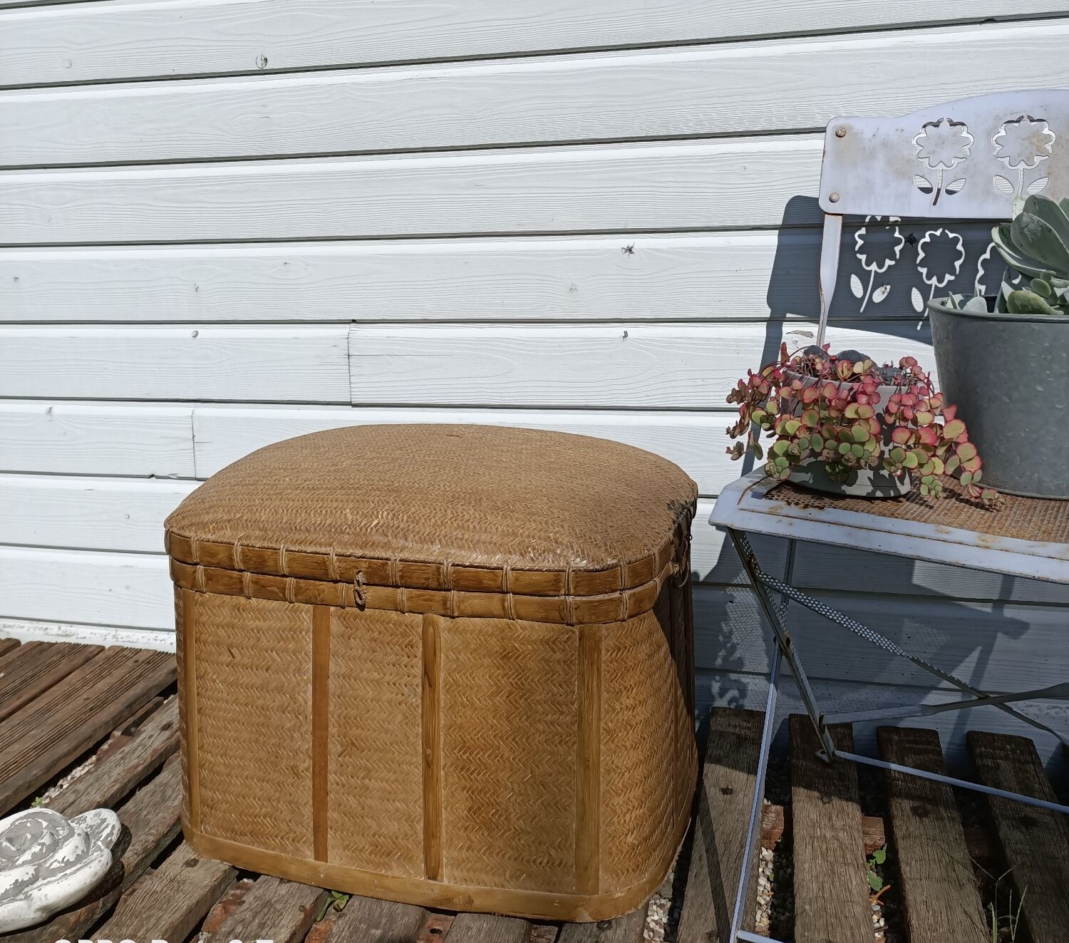 Old trunk rice straw