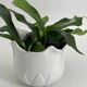 Cache-pot vintage en forme de tulipe en porcelaine blanche